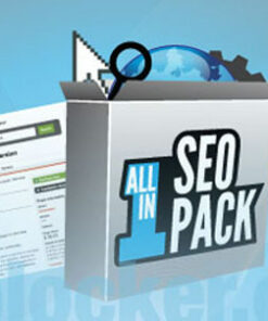 All in One SEO Pack Pro v4.2.1.1
