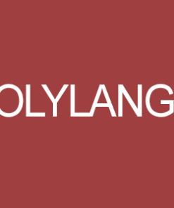 Polylang Pro v3.2.5 - Multilingual Plugin