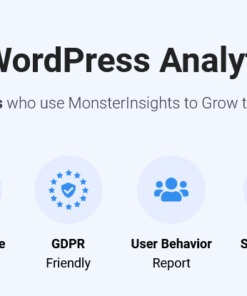 MonsterInsights Pro Google Analytics Premium