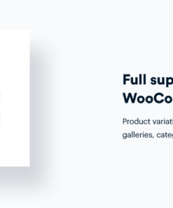 Soflyy WP All Export - WooCommerce Export Add-On Pro